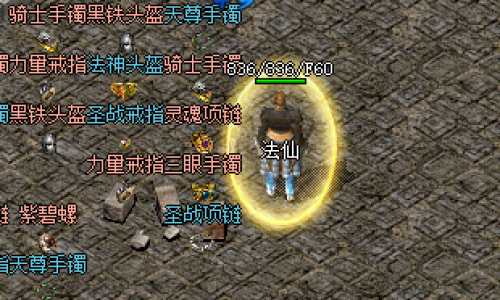新开英雄传奇私服风魔井和魔龙殿中，战士如何利用技能进行单体高伤害输出？