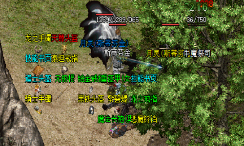 轻变传奇法师在团队中应如何利用自己的远程魔法优势来控制战场和输出伤害